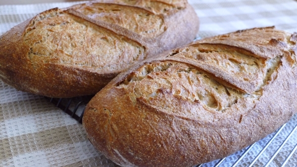Whole Wheat Bread – Using Old Starter