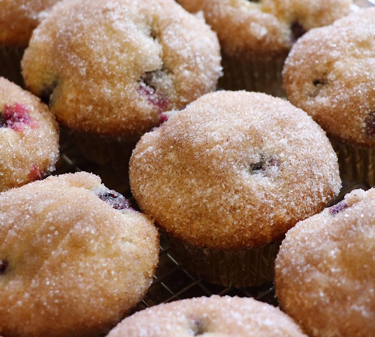 Sour Cream and Cardamom Blueberry Muffins