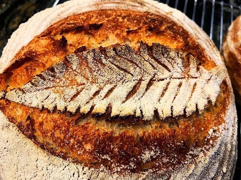 Seven Steps in Making Bread
