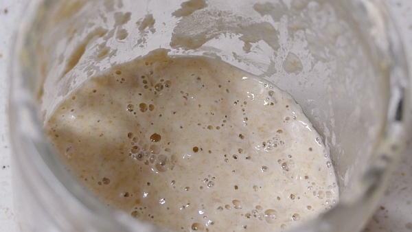 Sourdough Starter