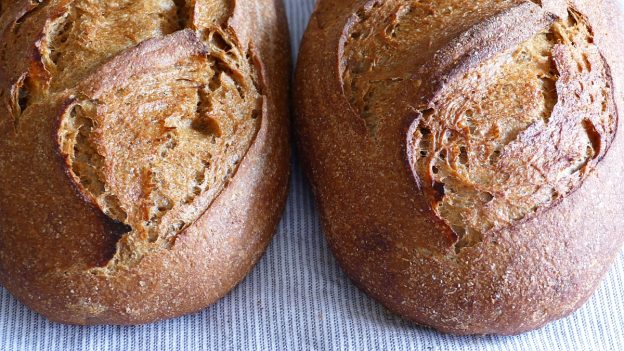 Molasses Rye Sourdough – Cool Retard