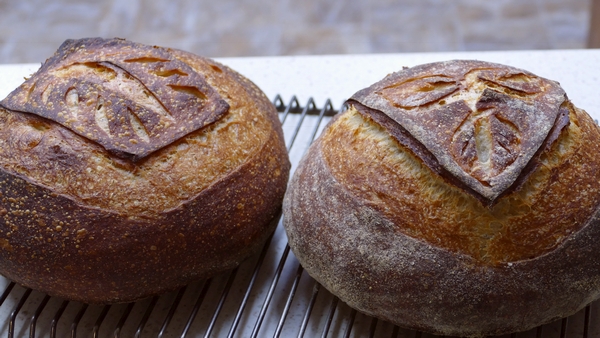 Walking Sourdough Bread Revisited